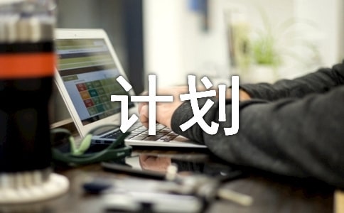 适用的温习打算10篇【精】
