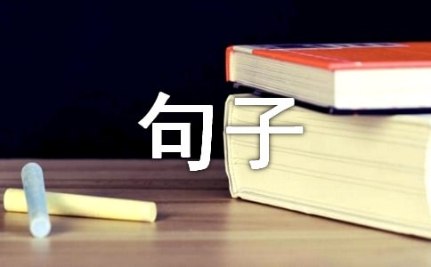 2021�꾫ѡ�����Ѱ��ľ���81��
