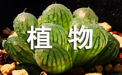 �����衿ֲ��쿴��־ģ�����5ƪ