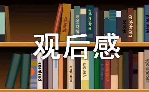 小鬼当家影片观后感
