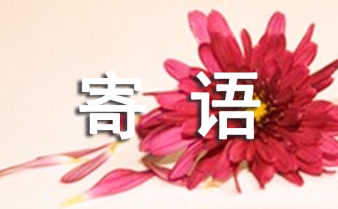 ���뷴�����ҵļ���