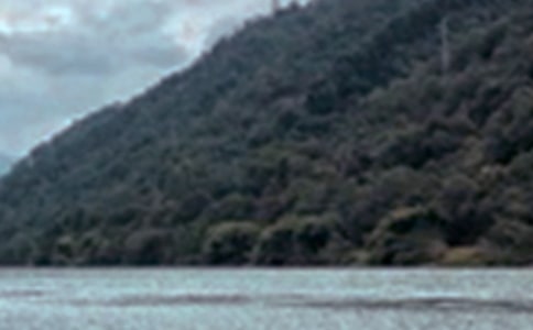 有关小学风光作文