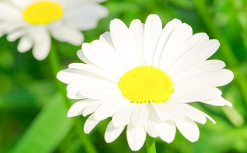 �����ջ���ʫ2ƪ���š�