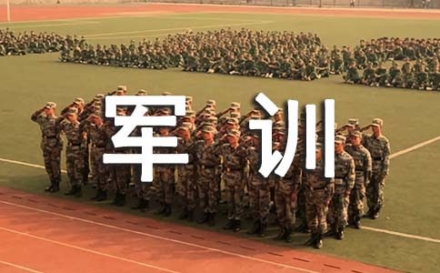 最新军训的感悟总结