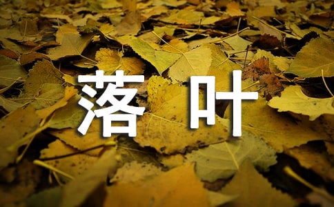 描述落叶的句子9条