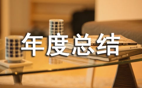 年度总结报告
