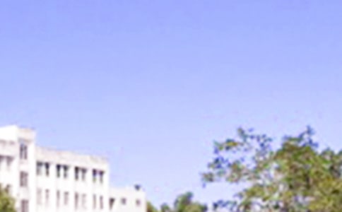�йؿ�毵ĳ�������ȦףԸ������68��