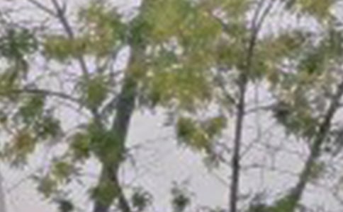 ����Ψ��������빴�ȫ����ѡ170�䣩