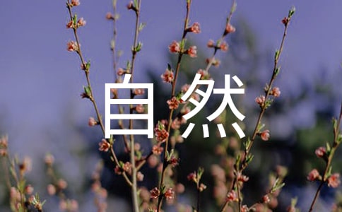 有关描述大天然的句子26句